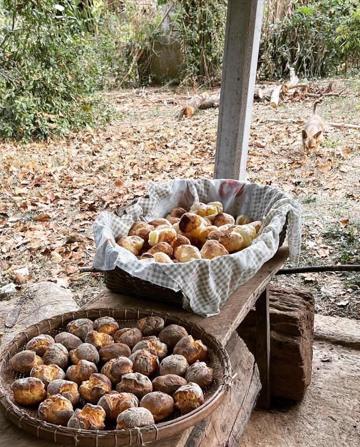 Chale Da Picareta Villa São Roque de Minas Kültér fotó